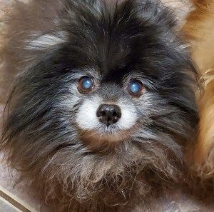 Meet your Posher, Kathy